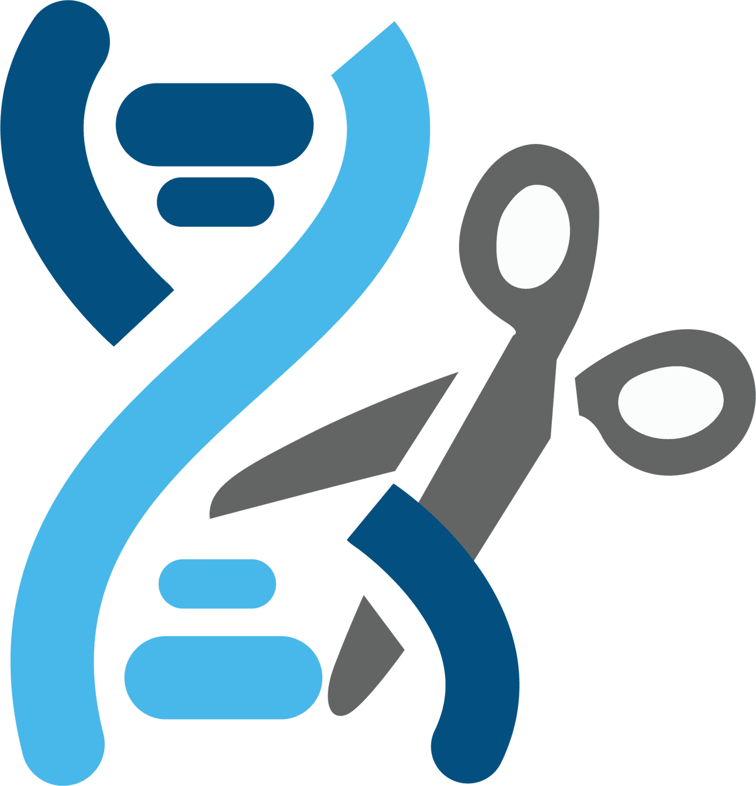 genome engineering